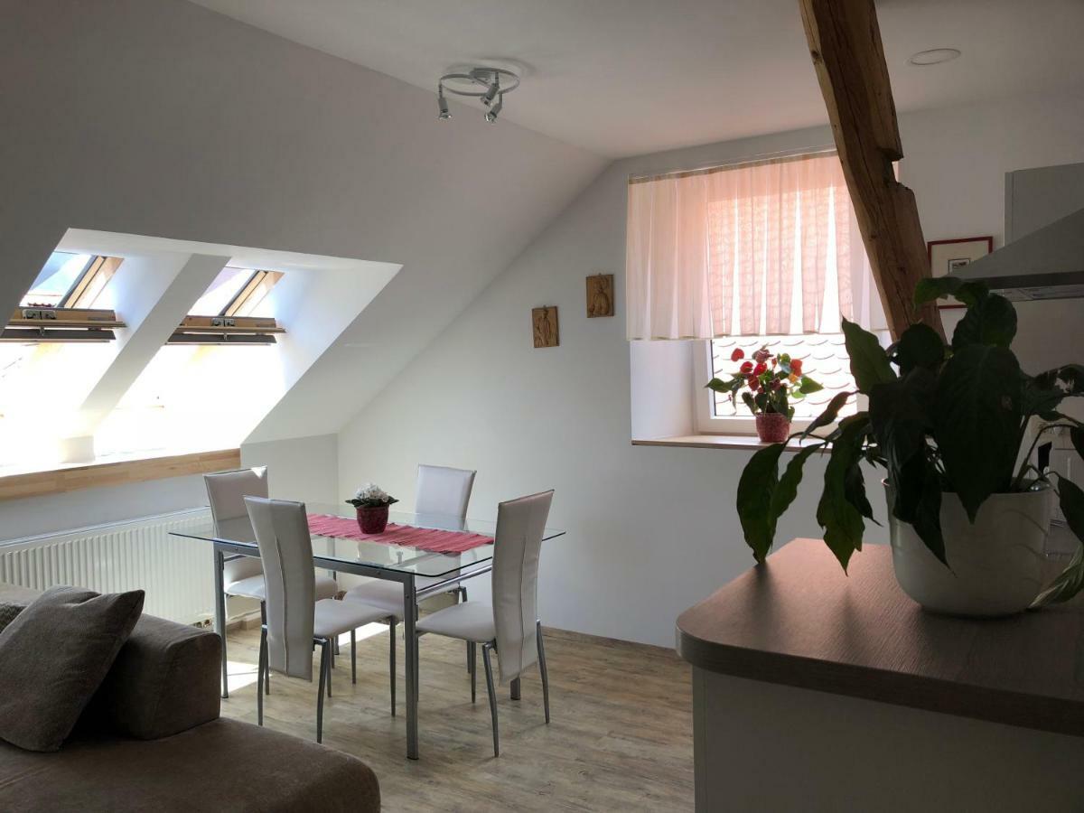 Apartma Linhartov Trg 拉多夫吉卡 外观 照片
